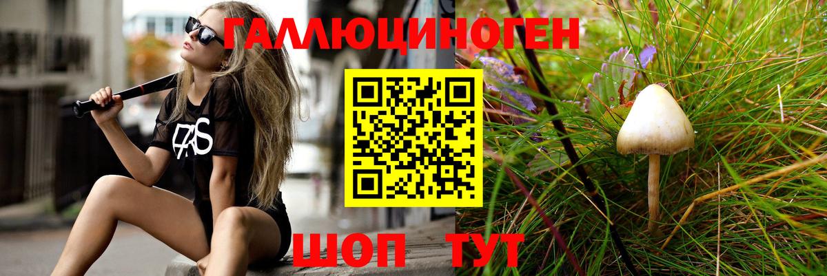 Галлюциногенные грибы Magic Shrooms  Вход с VPN  Россия 